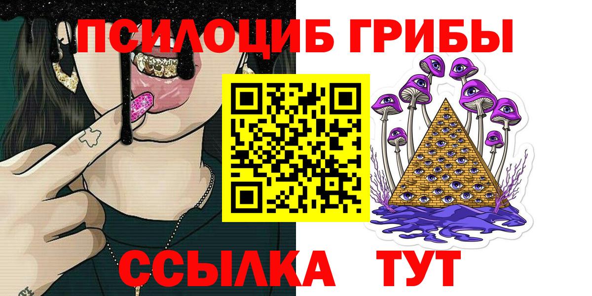 Псилоцибиновые грибы Psilocybe Краснокаменск